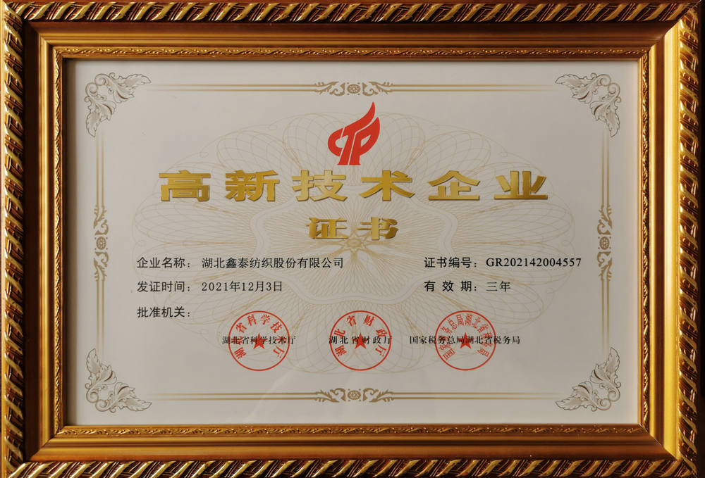 New and High-tech Enterprise